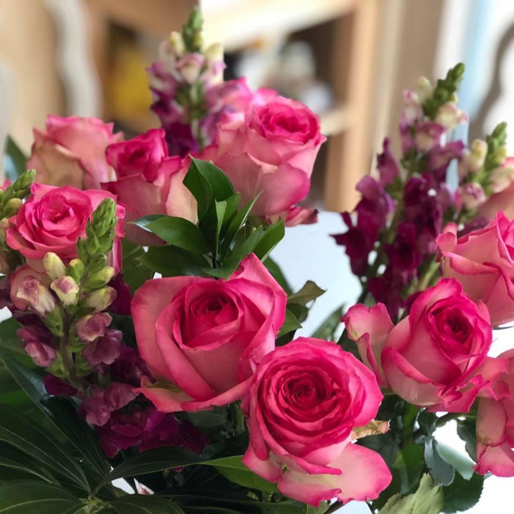 Meet your Posher, Junko